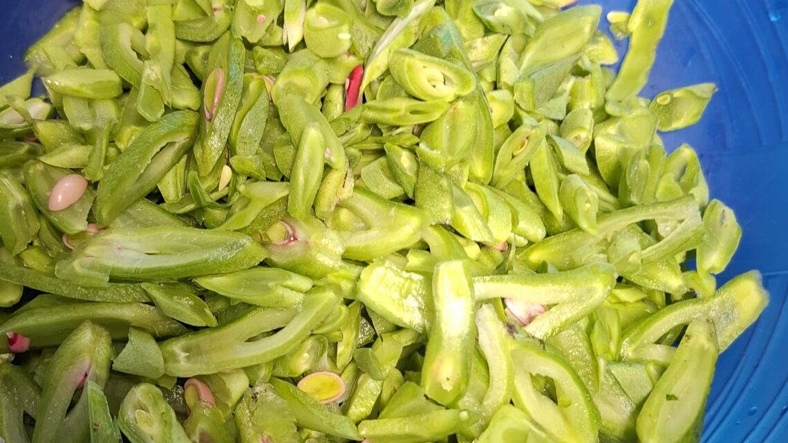 Herstellung von Sauerkraut und Schnibbelbohnen auf Vorrat